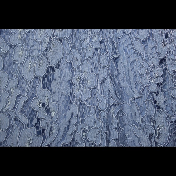 Francescas Lace Shift Dress - Picture 3 of 3